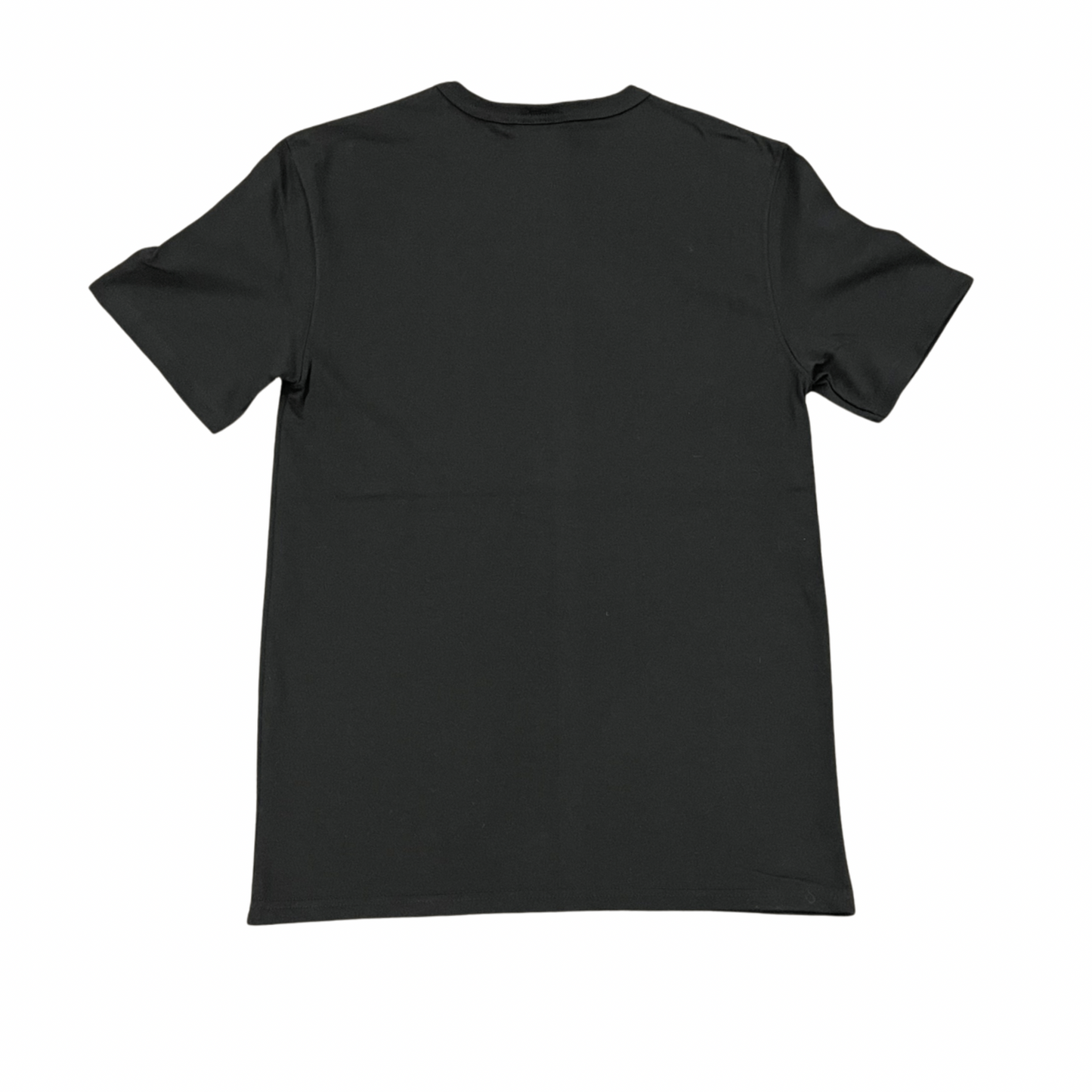 Champion Heritage Tee (S-XL)