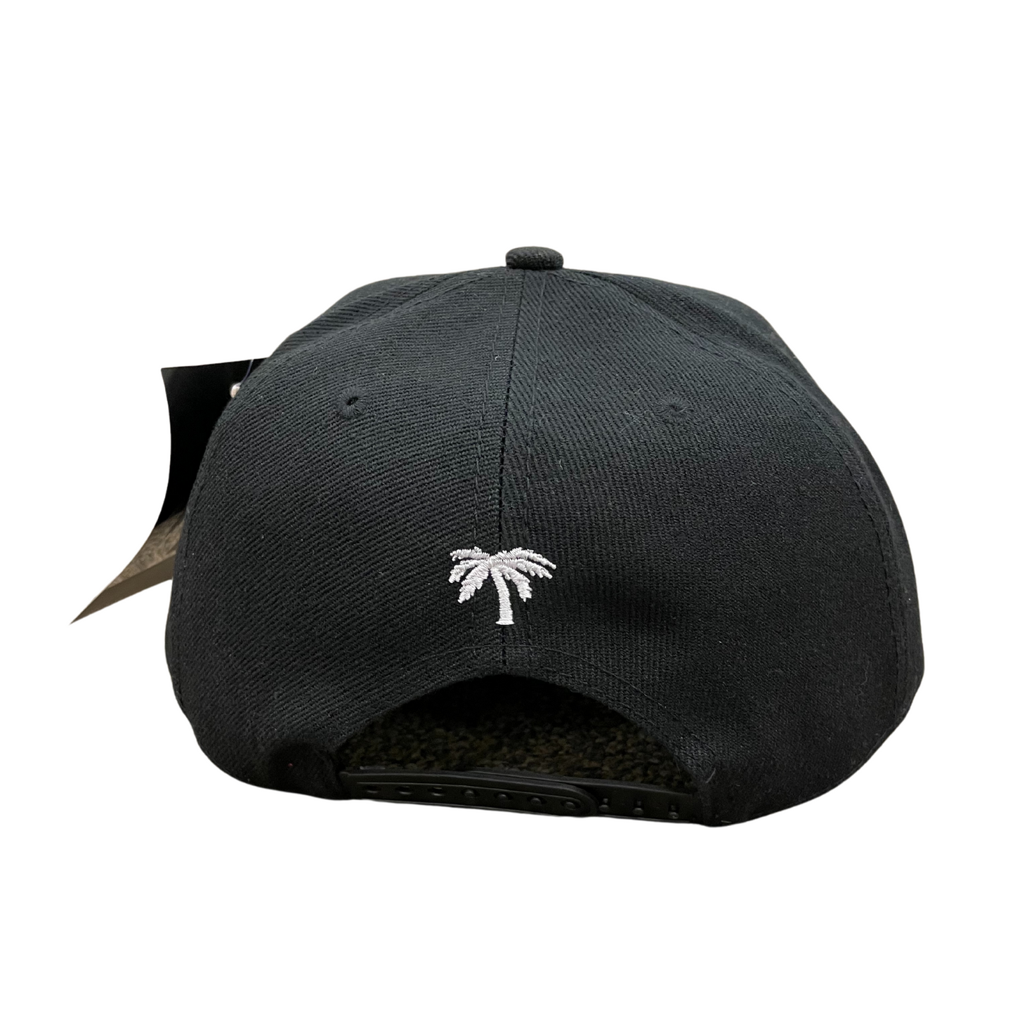 Men's BLVD Palm Tree SnapBack